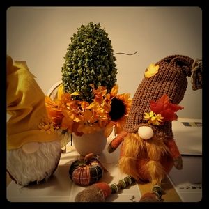 Fall gnomes